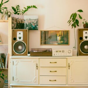 Retro home interior featuring vintage stereo, speakers, and houseplants for cozy atmosphere.
